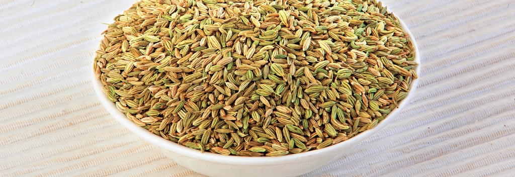 Fennel powder