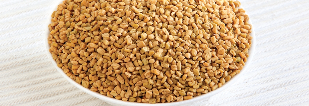 Fenugreek powder
